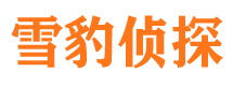 龙泉外遇调查取证